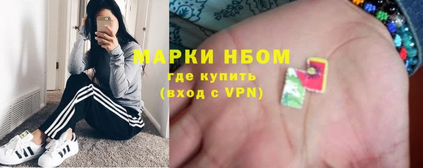 хмурый Белокуриха