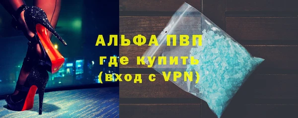 хмурый Белокуриха