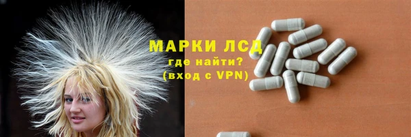 СК Сатка