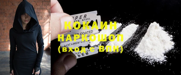 хмурый Белокуриха