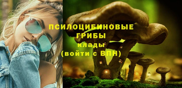 амф Белоозёрский