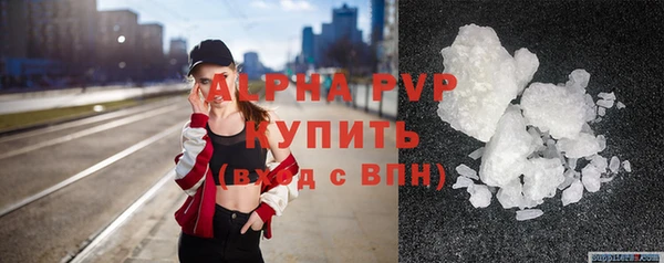 хмурый Белокуриха
