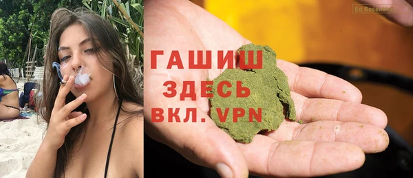 хмурый Белокуриха