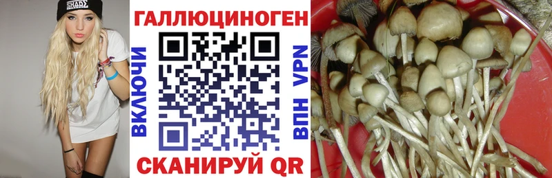 Галлюциногенные грибы Cubensis  MEGA ссылка  Выборг 